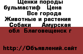 Щенки породы бульмастиф › Цена ­ 25 000 - Все города Животные и растения » Собаки   . Амурская обл.,Благовещенск г.